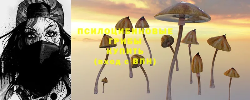 Галлюциногенные грибы Cubensis  Чебоксары 